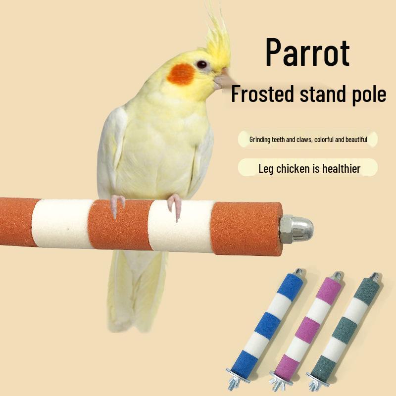 Parrot Perch & Claw Grinding Stick - Birdcage Accessory Toy