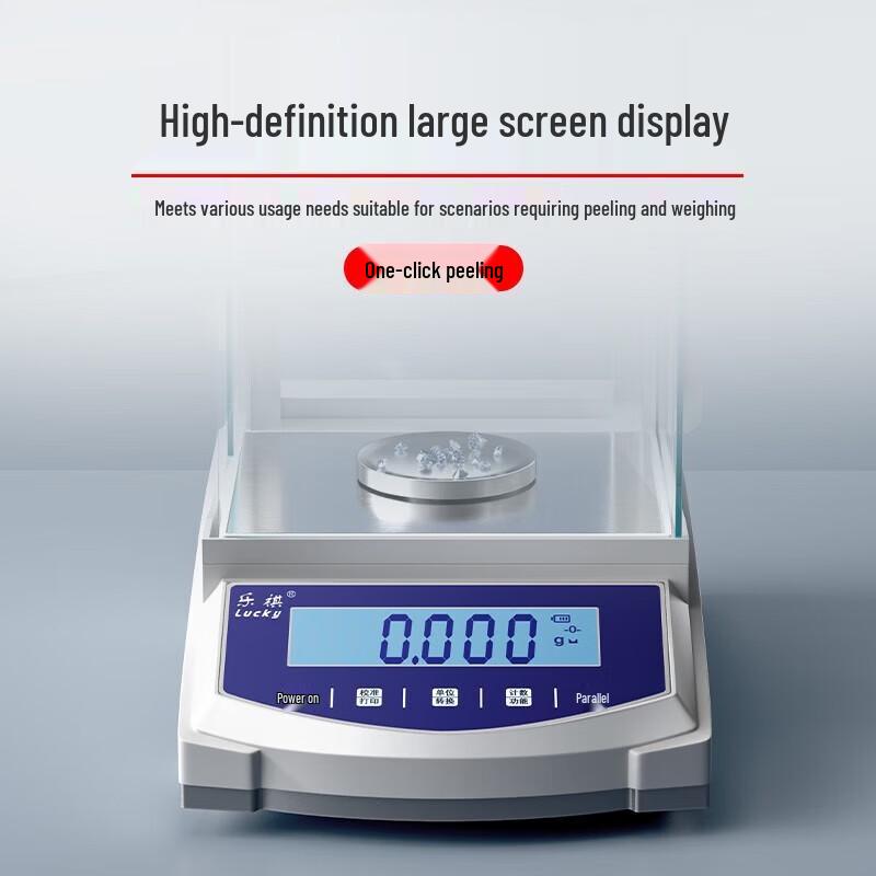 Precision Rechargeable Lab Analytical Balance