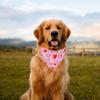 Valentine's Day Pet Clothing Love Pet Water Scarf Dog  Scarf Pet Accessories Dog Scarf