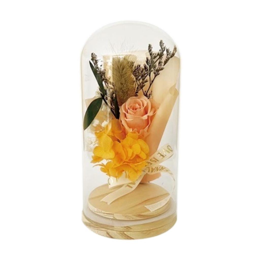Q-FLA Preserved Flower Dome Arrangement, Orange, Perfect for Gifts and Celebrations, 813672