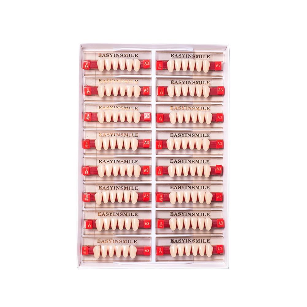 16/12 Sätze/Karton Zahnprothese Zähne Oberkiefer Frontzähne Unterkiefer Seitenzähne Dentier Synthetisches Polymerzähne Zahnmedizinische Ausbildungsmodell