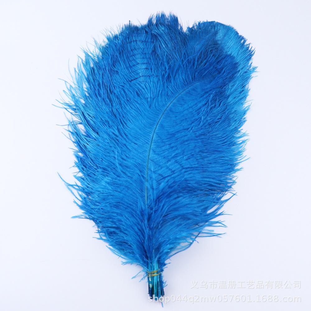 45-50Cm South African Ostrich Hair Modern Feather Lamp Wedding Stage Decoration High Quality Ostrich Hair