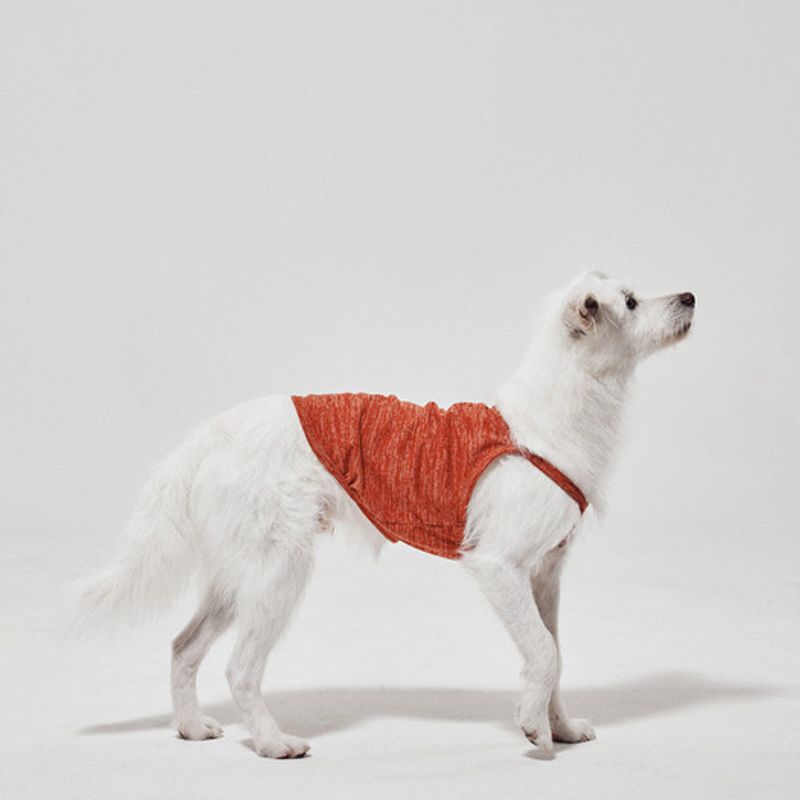 Shade Haustier Tanktop_Orange