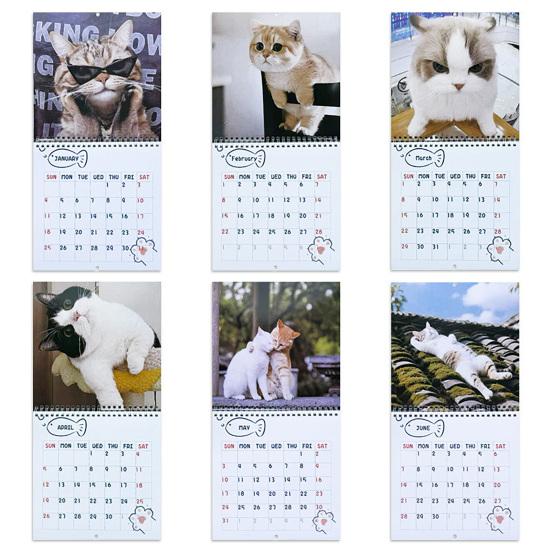 Unreasonable Cat Calendar 2026 Jan.2026 - Dec.2026 12-Month Calendar Funny Kitten Wall Planner for Home Office Decoration