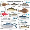 Simulationsmodelle von Meerestieren: Qualle, Oktopus, Meeresgarnele, Seeanemone, Tintenfisch, Pfeilschwanzkrebs, Flusskrebs, Pfeilkraut