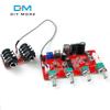 DIY PT2399 Digital Microphone Amplifier Board Karaoke Plate Reverb Preamplifier Reverberator Suite NE5532
