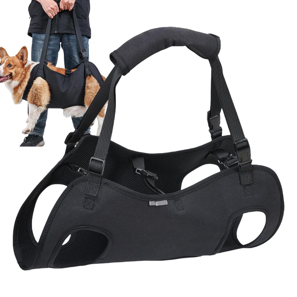 Imbracatura per Trasporto Cane Imbracatura di Supporto per Animali da Compagnia Gilet di Sollevamento per Riabilitazione Cuccioli Maniglia con Cinturino Regolabile Per Lesioni Articolari cani anziani