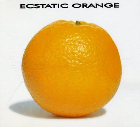 

12inch Record ECSTATIC ORANGE World Keeps Spinning Skimming Sto PGTT30 POP GOD 1995 UK Dance Electronica Used