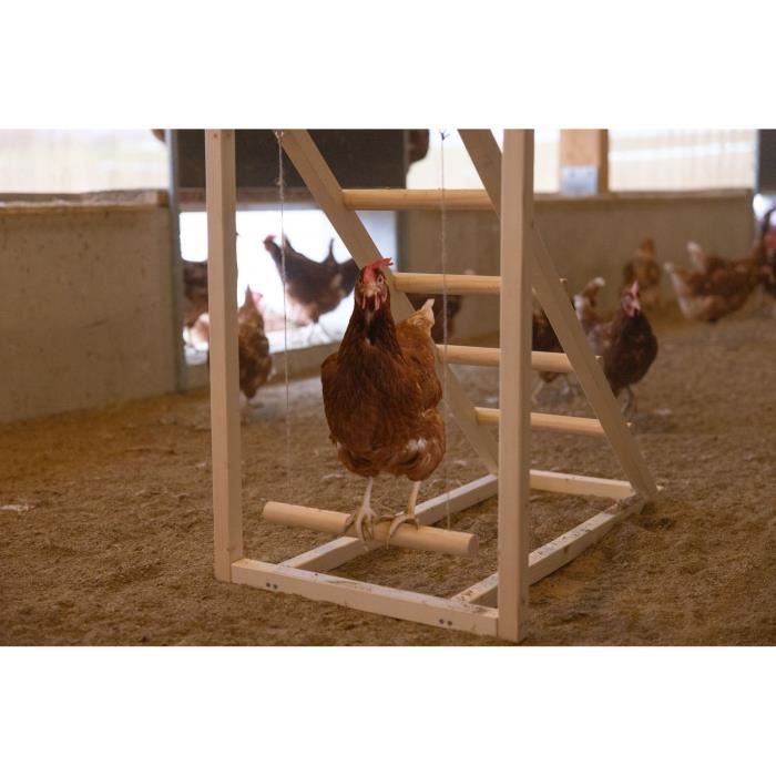 Tour d’escalade pour poules - KERBL - 85 x 55 x 76 cm - Avec balançoire - Echelle robuste
