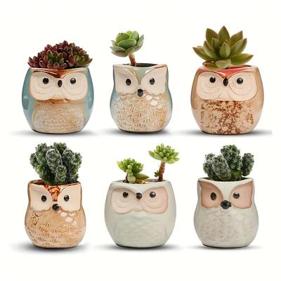 Creative Cartoon Kiln Transformation 6pcs Set Owl Ceramic Succulent Plant Pots with Drainage Holes, Adorable Small Planters with Plant Stands