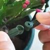 6Pcs Half Round Plant Support Stake Weather Resistant Plastic Tomato Planting Flower Support Ring for Garden