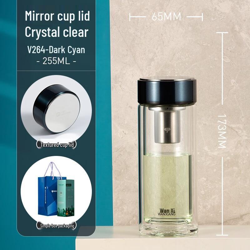 Portable Double-Layer Glass Tea Infuser Bottle with Filter