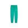 Air X Union MJ Fleece Pants Kinetic Green/Coconut Milk Unisex Bottoms DV7336-348