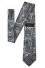 (RETREEZ) Paisley Art Pattern Microfiber Woven Fabric Men's Tie - Black & Silver