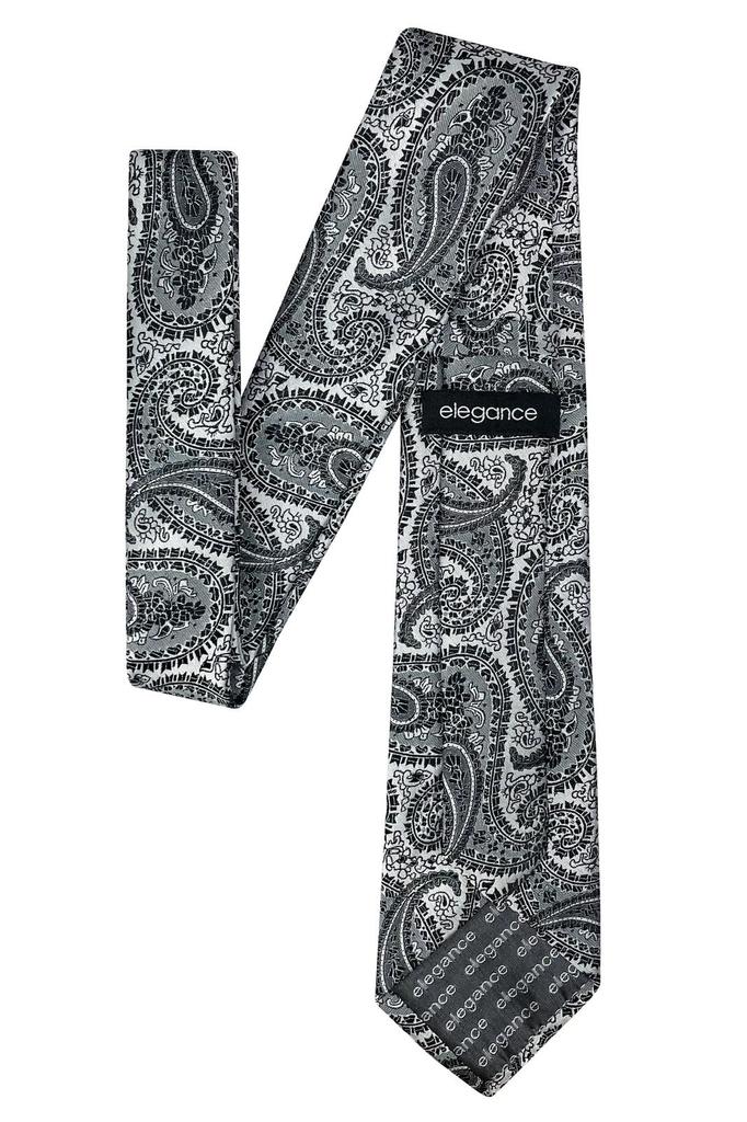 (RETREEZ) Paisley Art Pattern Microfiber Woven Fabric Men's Tie - Black & Silver