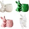 Cute 3d Printed Rabbit Flower Pot Embossed Floral Design Home Decor Mini Flowerpot Desk Ornaments Succulents Planter Home Decor
