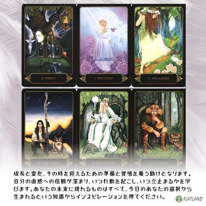 Dreams of Gaia Tarot, Tarot Reading Instructions, Japanese Instruction Manual Included, Authentic Tarot, 78 Cards