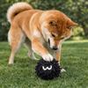 Bite-Resistant Pet Mop Ball Toys Glowing Pet Interactive Toys Teeth Grinding Toys  Indoor Play
