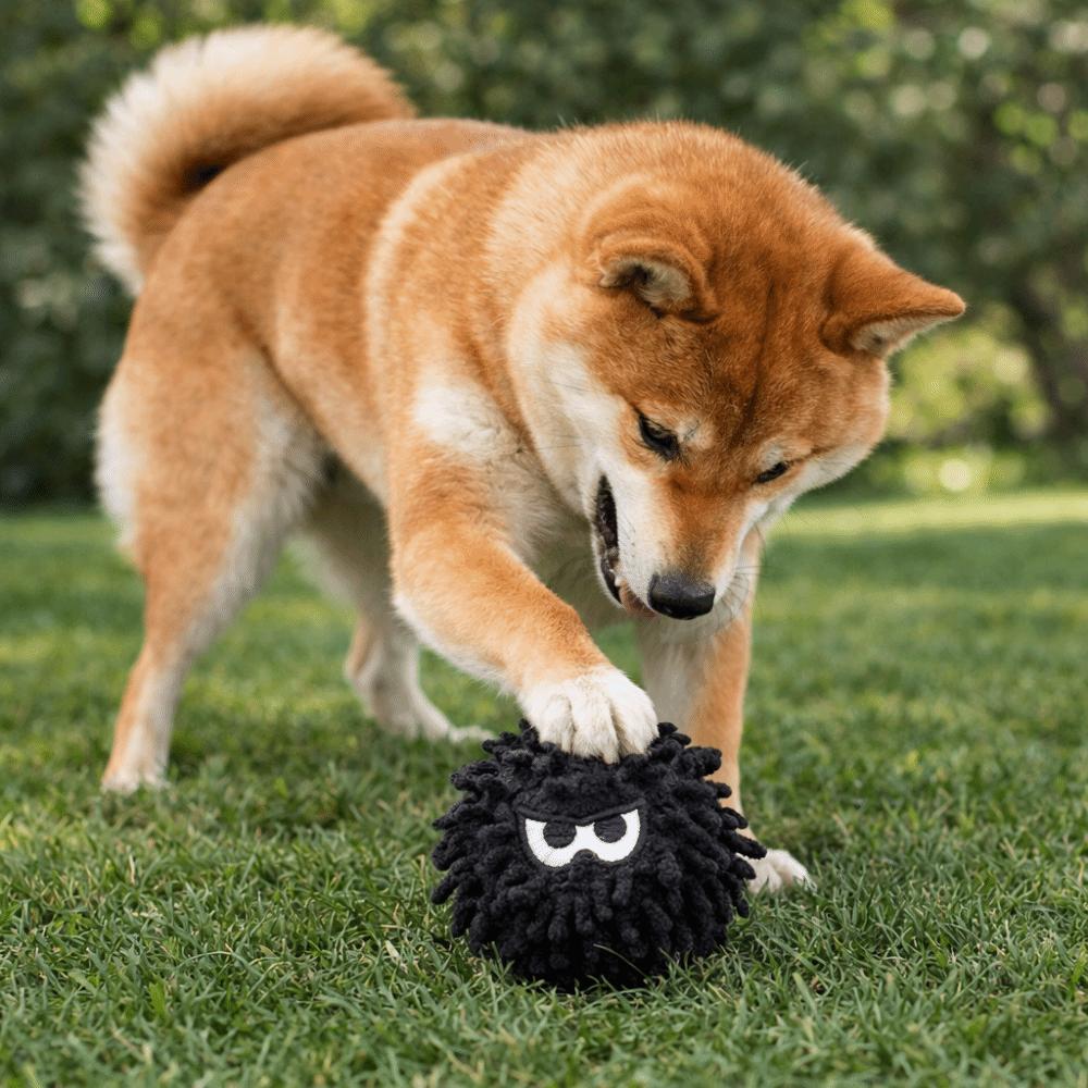 Bite-Resistant Pet Mop Ball Toys Glowing Pet Interactive Toys Teeth Grinding Toys Indoor Play