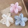 Women 8cm/3.15 Inch Pink, White, Blue Flowe, Elegant, Minimalist Style, Sonytail, Bun, Face Washing, Makeup, Outfit Matching Summer Hair Claw Hair