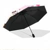 Gabby's Dollhouse Print Automatic Open Close Umbrella, Portable Foldable Umbrella, for Outdoor Commute Camping Trip, Ideal Birthday Gift