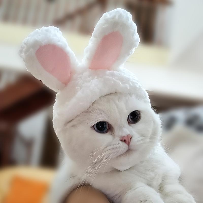 Cute Rabbit Ears Dog Hat Teddy Bichon Costume Transform Pet Cat Headwear Fashionable Net Celebrity Accessories