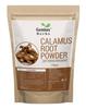 Genius Herbs Calamus Root Powder (Vasambu/Vacha/Acorus Calamus) – 100g Pack of 1 | Pure Ayurvedic Herbal Powder for Traditional Wellness Support