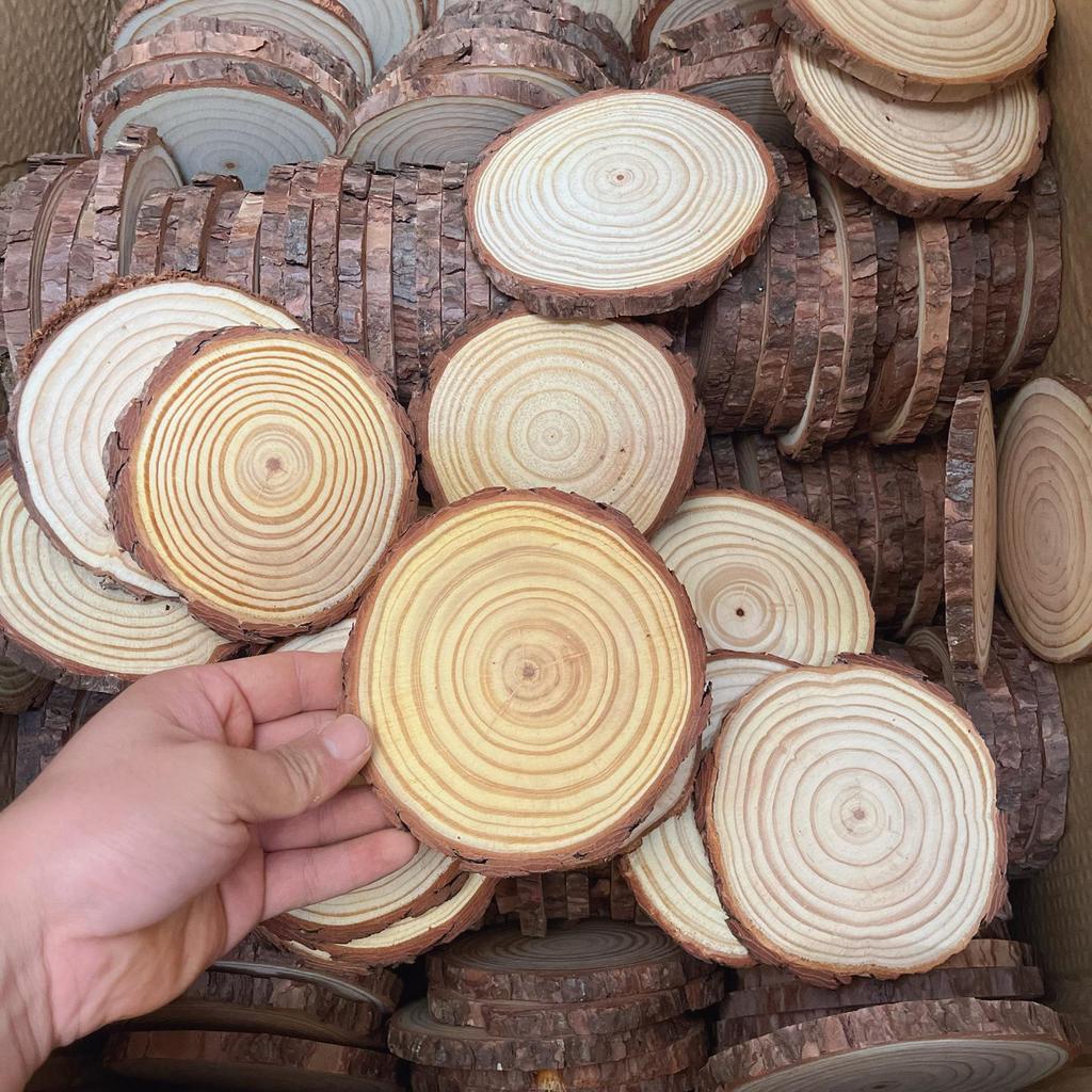 DIY Hand-Painted Wooden Slices for Crafts and Kindergarten Decor – Small Natural Wood Pieces with Growth Rings
