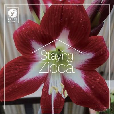 

CD CHAR - Staying Zicca ZRSTSZ01 Zicca Records 2020 Japan Rock Used