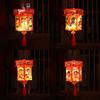 Children's Chinese New Year Handheld Luminous Lantern