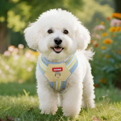 Sturdy Dopamine Dog Harness Soft Quicklace Pet Walking Vest Adjustable Breathable Pet Chest Strap for Dogs Cats