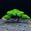 13cm Plastics Plant for Aquarium Artificial Tree Underwater Aquatic Grass with Pedestals for Fish Tanks Decorations