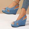 2024 NEW Shoes for Women Ankle Buckle Wedges Sandales Femmes Summer Denim Sandal Comfortable Thick Sole Sandalias Heels Women 43