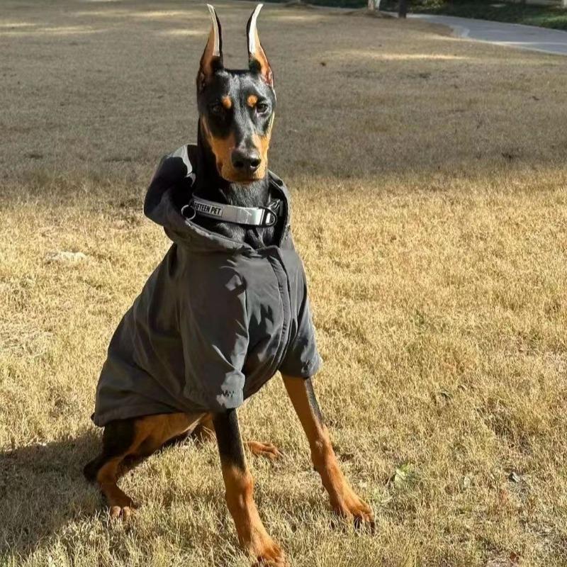 Autumn and Winter Big Dog Clothes Handsome Reflective Hoodie Dubin Samoyed Side Herding Medium and Large Dog Going Out Jacket