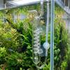 with Suction Cup CO2 Bubble Counter High Transparent Dioxide Reactor CO2 Diffuser  Fish Tank