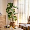 White Variegated Monstera Faux Tree - Large, Potted, Light Luxury Decor for Living Room