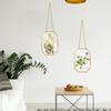 Octagonal Geometric DIY Glass Pressed Flower Hanging Frame - Modern Floating Transparent Photo Display