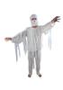 Adult Qing Dynasty Zombie Mummy Ghost Masquerade Costume with Wig for Halloween and Horror Parties