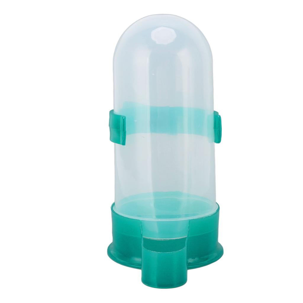 Pigeon Water Feeder Convenient Large Capacity Automatic Bird Drinking Feeder for Bird Cage Green
