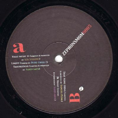 12inch Record VARIOUS - The Goodbye EP ZEPHONSMOM0005 Zephon's Mom 2002 Netherland Dance & Electronica Used