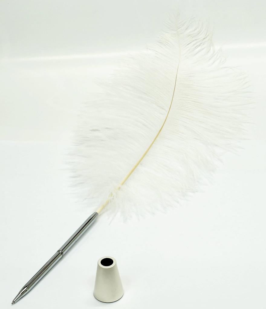 Pachet 2 set struț cu pene mari din alamă tip bancher rotativ stilou alamă dacap pix stand penă albă procesat japonez + Q-S1P3WD-2