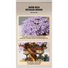 Set di Blocchi da Costruzione Albero di Ciliegio Fai da Te Mattoncini Fiore di Ciliegio Fai da Te con Modello Casa sull'Albero Luminosa Ornamento Regalo Romantico per Fidanzata