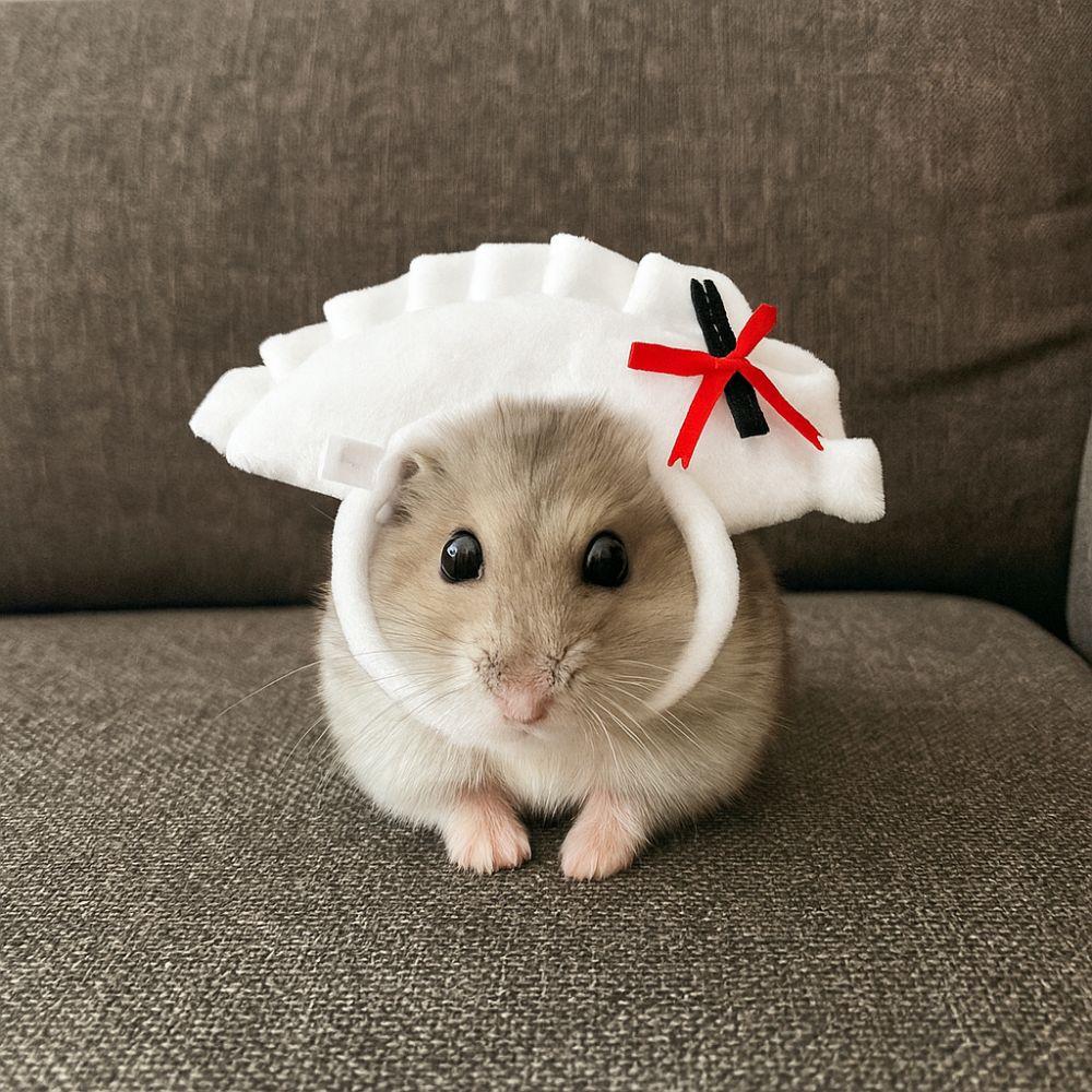 Adjustable Cat Head Covers Cartoon Puppy Dress Up Funny Pet Dumpling Hat  Photography Shoots