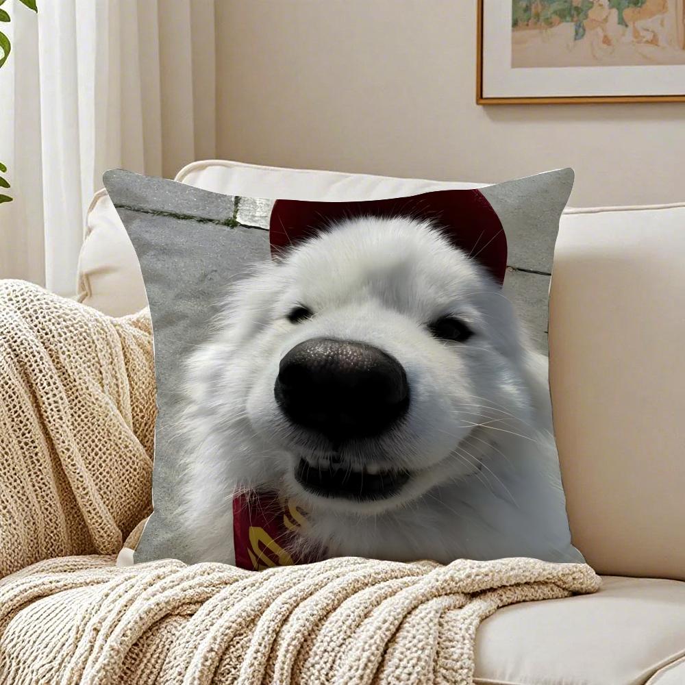 Happy Cute Puppy Smiling Sunshine Cushion Cover Pillowcase Antidustmite living Room Sofa Decor Cushion Room