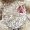 [USED] Build-A-Bear Build-A-Bear Champ Plush Teddy Bear