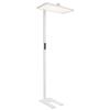Rotatable Full Spectrum Eye Protection Floor Lamp for Students