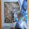 W magazynie Wysokiej jakości Hunter X Hunter S.H.Figuarts Killua Zoldyck Figurka Akcji Bardzo Szczegółowy Model Kolekcjonerski Zabawka Prezenty