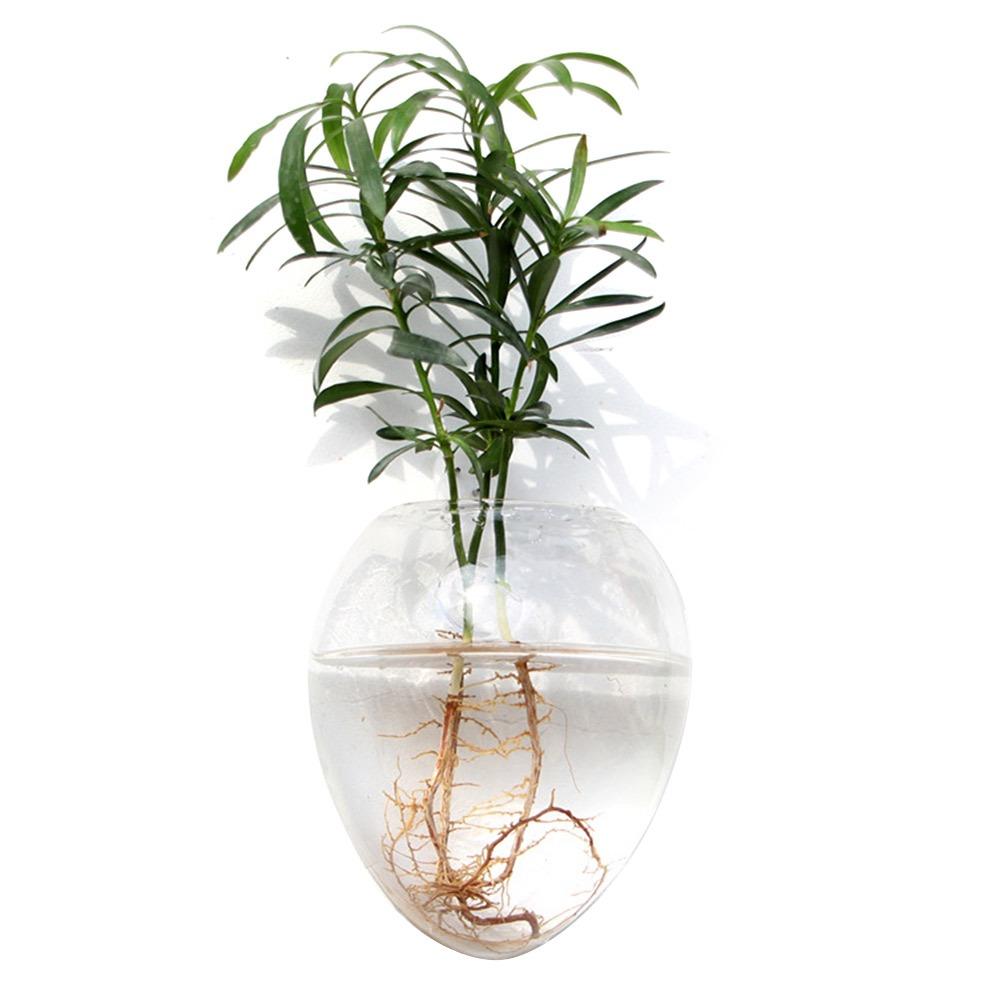 Hydroponics Plants Wall Hanging Vase Transparent Plant Propagation Vase  for Home Office Decor