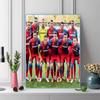 Viktoria Plzen Football Club Pattern  3pcs 100% Round Full Drill 5D DIY Diamond Painting Embroidery Cross Stitch Rhinestone Décor