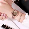 Fashion Star Women'S Watch Niche High-End Alloy Watch Women'S Waterproof Quartz Watch